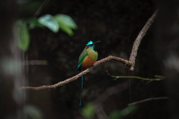 Pourquoi l'éthique professionnelle ?